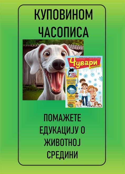 CUVARI KUPOVINA 1