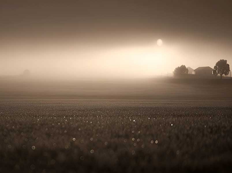 МАГЛА У РАВНИЦИ &ndash; Јасминка Симовић