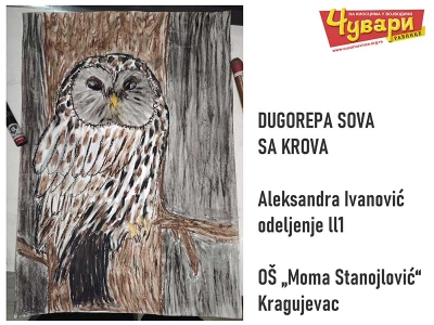 DUGOREPA SOVA SA KROVA - Aleksandra Ivanović, odeljenje ll1, O&Scaron; &bdquo;Moma Stanojlović&ldquo;, Kragujevac