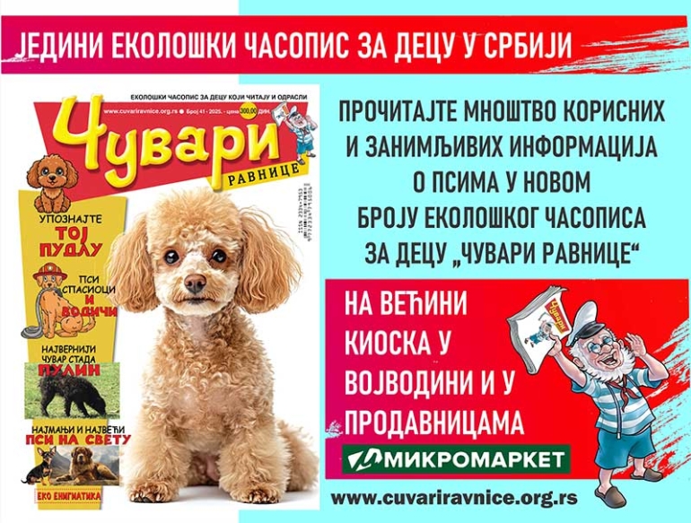 ШТА СВЕ ИМА У НОВОМ БРОЈУ (41)?