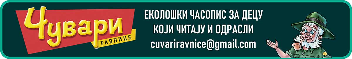 ZAGL GORNJE NASLOVNE 2 za decu i odrasle