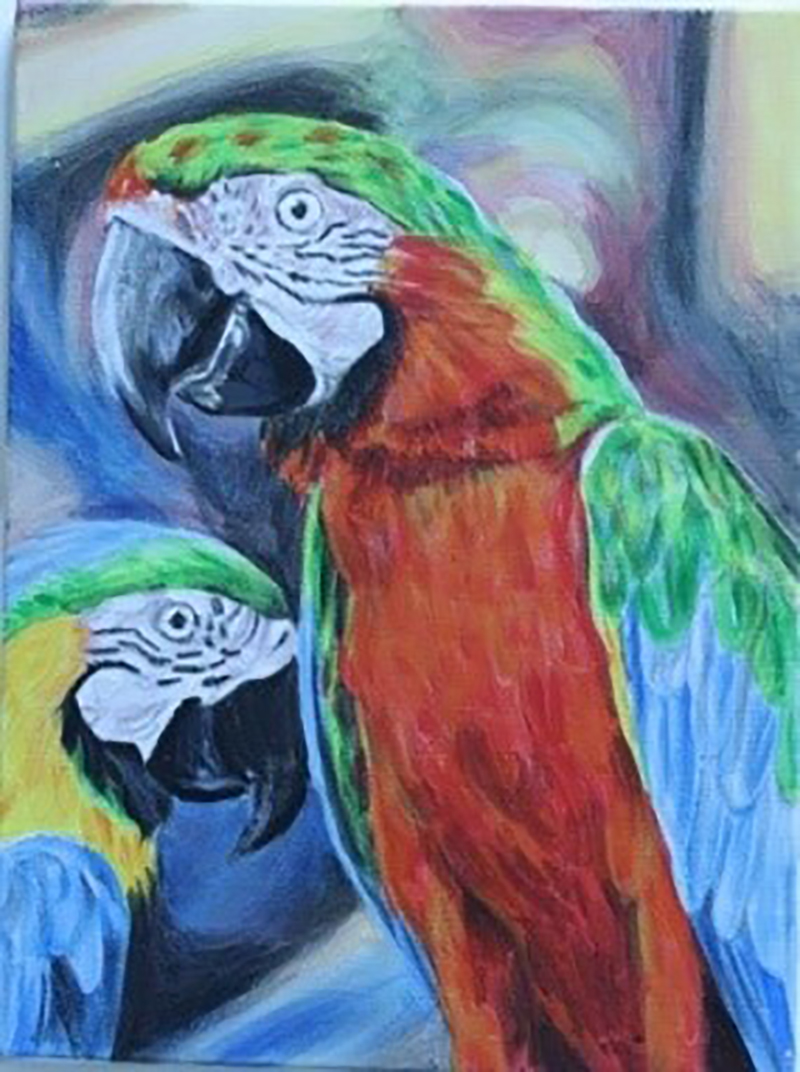 DORCOLIJADA 2