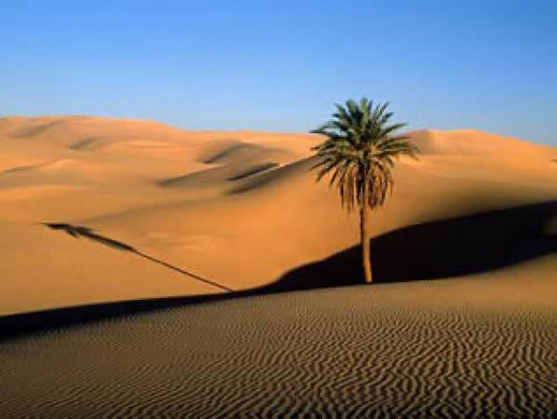 sahara 1