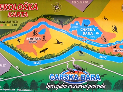 SPECIJALNI REZERVAT PRIRODE &quot;CARSKA BARA&quot; - Lepotica sa teškim okovima