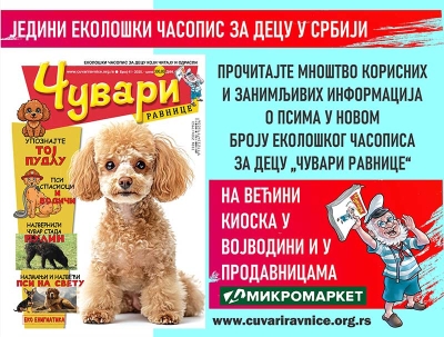 ШТА СВЕ ИМА У НОВОМ БРОЈУ (41)?