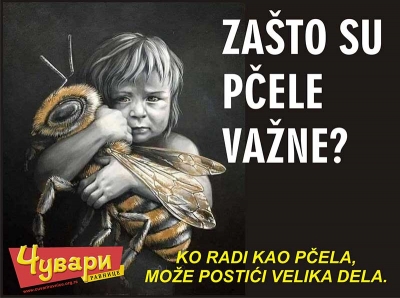 ZAŠTO SU PČELE VAŽNE?