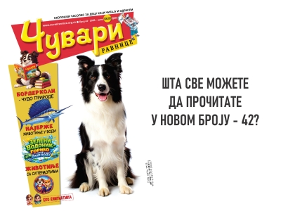 ШТА СВЕ МОЖЕТЕ ДА ПРОЧИТАТЕ У НОВОМ БРОЈУ (42)?