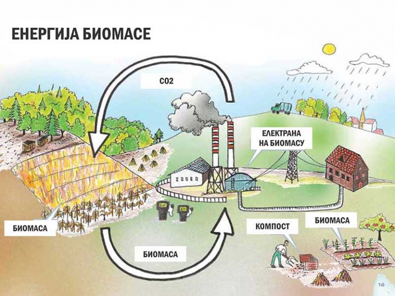 ENERGIJA BIOMASE