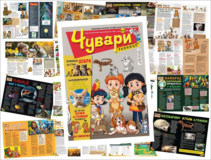 media/k2/items/src/8ab790b9074fed051af256aa504a66b7.jpg